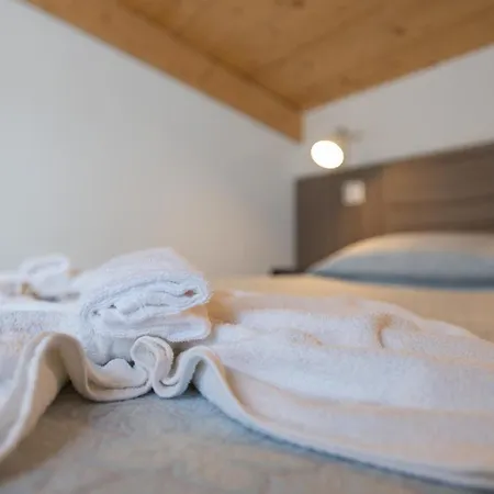 מלון Consul - Family ריצ'יונה