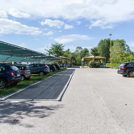 Consul - Family ריצ'יונה